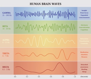 Grafik menschlicher Gehirnfrequenzen